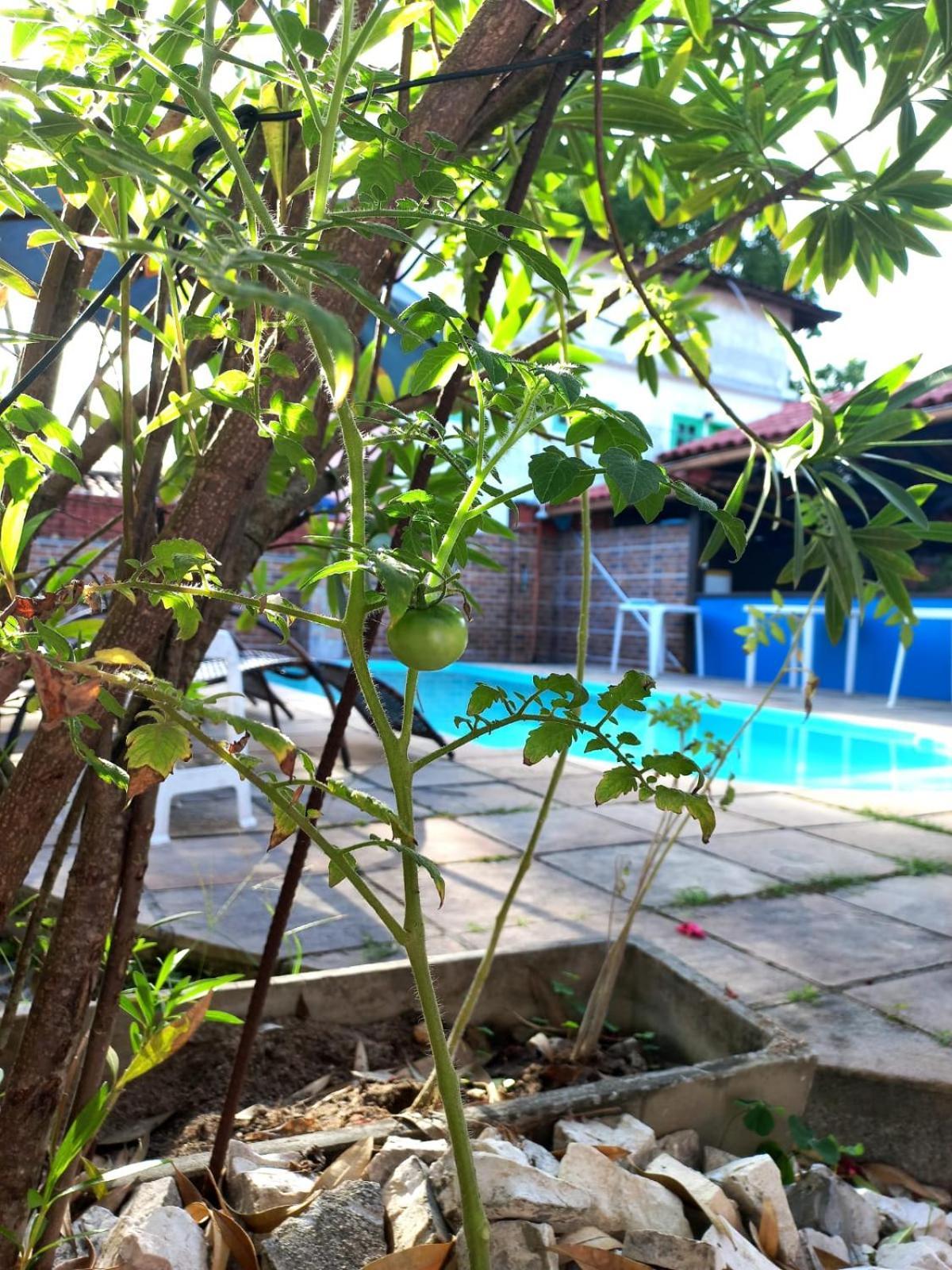 Pousada Flor Do Dende Porto Seguro Zewnętrze zdjęcie